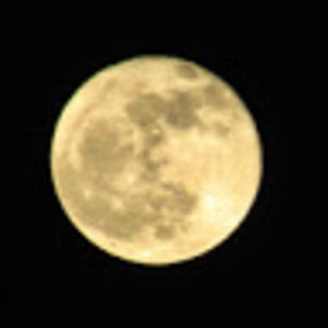 Meet your Posher, Chelsee